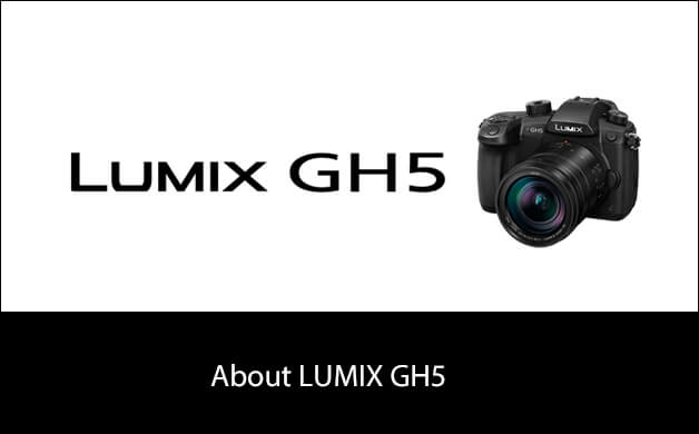 About Panasonic LUMIX DMC-GX8