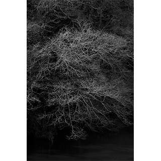 山上新平(Shimpei Yamagami)